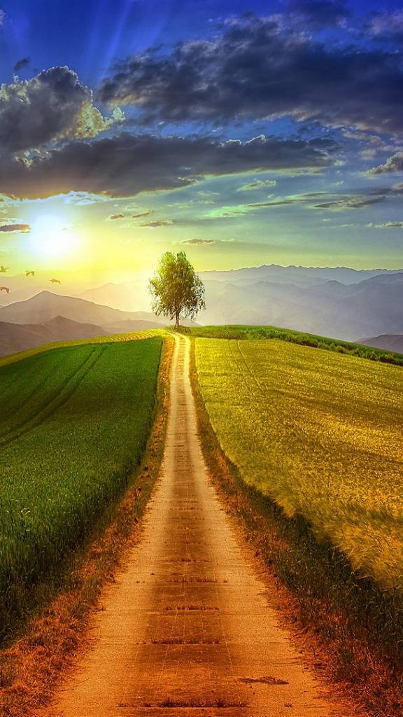 Совет Ангелов сфера любовь_отношения... онлайн... 👍🌳🍁✍️🙌