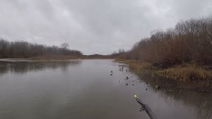 Поход на лесную речку.