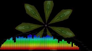 Мелодия в жанре поп-музыка. #попмузыка #музыка #мелодия