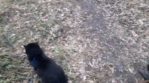 На улице хорошо.