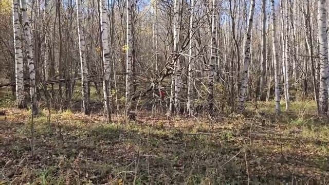 Ep.126 Winter Is Coming Russian Subtitles