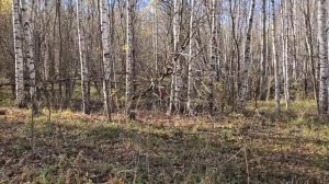 Ep.126 Winter Is Coming Russian Subtitles