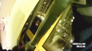 🐱На Трубецкой улице спасатели вытащили из передряги маленького котёнка по имени Фантом🐱