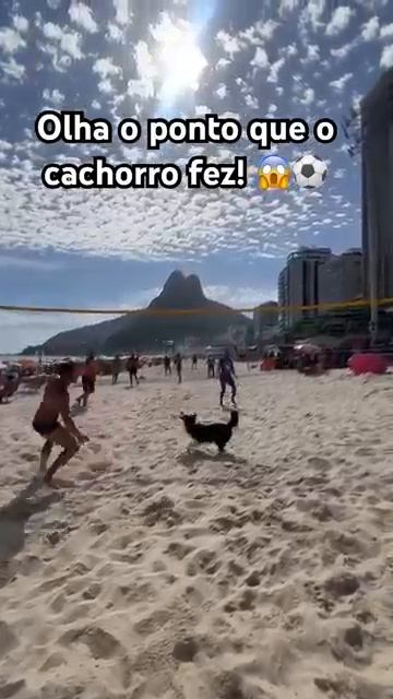 O cachorro joga direitinho videoviral futvolei footvolley riodejaneiro fypシviral [get.gt] смотреть онлайн