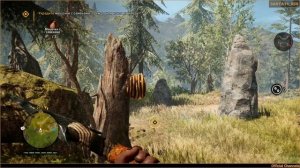 Far Cry 4: Primal. Миссия Рушани №1: «Семена солнца» (Экстремальный уровень)