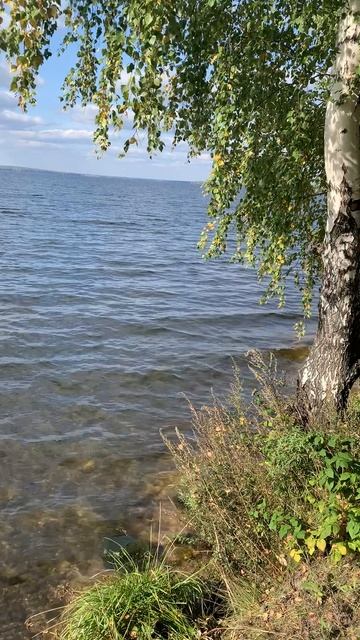 Очень люблю 🫶 здесь гулять 🚶