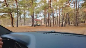 02.11.2025г..СЬЕЗДИЛИ В ЛЕС. //ВАДИМ МЕНЯ ПРОКАТИЛ ПО СЕЛУ ЗАВОЛЖЬЕ// ПОЖАРИЛА СУДАКА.