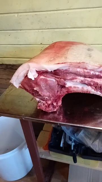 Выбраковка ремонтного стада, КБ 1 год вес 200+ (03-11-2025) смотреть онлайн