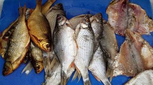 КРАСНОПЁРКА  ВЯЛЕНАЯ