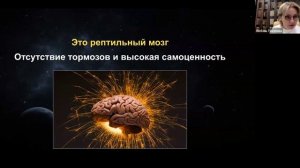 Запись эфира от 31.10.2025