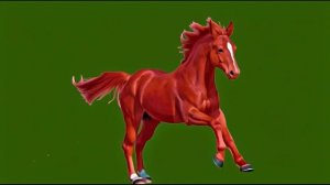 2026 год год лошади