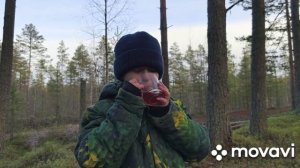 Лесная прогулка