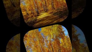 Не печальтесь © Copyright: Бронислав Сычёв, 2025
Свидетельство о публикации №125110205619