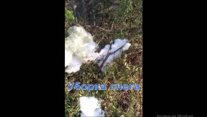 Дворник чистит снег