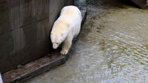 Герда не хочет принимать душ..