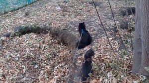 На прогулке.