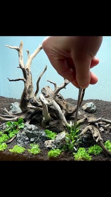 Создание креветочника шаг за шагом ☺ смотреть онлайн