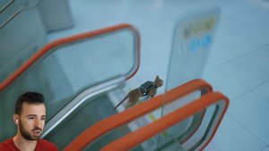 ФИЛОСОФСКАЯ КОНЦОВКА В STRAY (1)