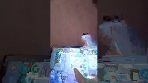 сериал в токе боке