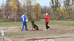 2 Отл. RUDI v. Team Valtenberg +++ №10. ШАХТЫ 3 ноября`25 Моно немецких овчарок