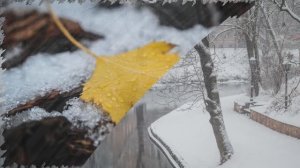 Первый снег