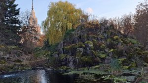 Орнитологическая экскурсия в БС МГУ (фрагменты), 02 ноября 2025