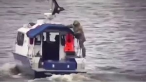 Ну а как вы хотели то.