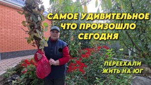 1014 Подарок от Надежды из Апшеронска/Жизнь после переезда/Приготовление напитка из винограда