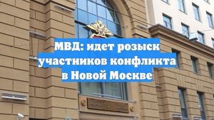 МВД: идет розыск участников конфликта в Новой Москве