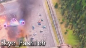 Скай и Райдер- точка заказ .