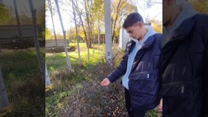 Ботанический сад