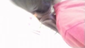 Майнкрафт в реальном мире