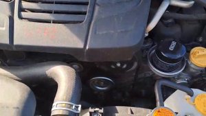 WhatsApp Video 2025-11-01 at 15.03.06