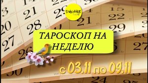 Прогноз на неделю с 3 по 9 ноября