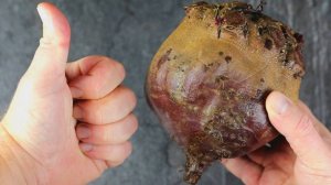 Давно забытый РЕЦЕПТ из СССР. Всего 3 продукта в составе. Салат был на столе в каждом доме