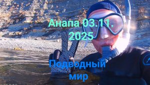 Анапа 03.11.2025 подводный мир