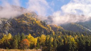 Судьба меняет правила. Что необходимо знать 3 ноября.