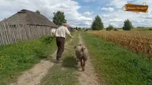 Чё деется... 😁