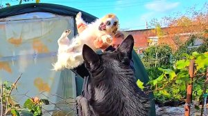 ✨️Танцпол везде!😁✨️Дела домашние ✨️