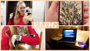 ❄️ МЫСЛИ ПРО НОВЫЙ ГОД | МАГАЗИНЫ