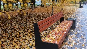 Ах, осень... 2025