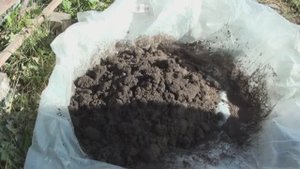 Готовьте грунт под рассаду сами с осени!