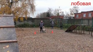 ПРК_СА Отважная Китнэсс