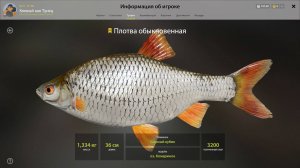 ТРОФЕЙ ПЛОТВА!!!ОЗЕРО КОМАРИНОЕ - РУССКАЯ РЫБАЛКА 4