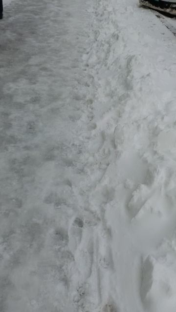 №339. ул. Полины Осипенко. 29 апреля 2025 г., 9:09:57. VID_20250429_090845243