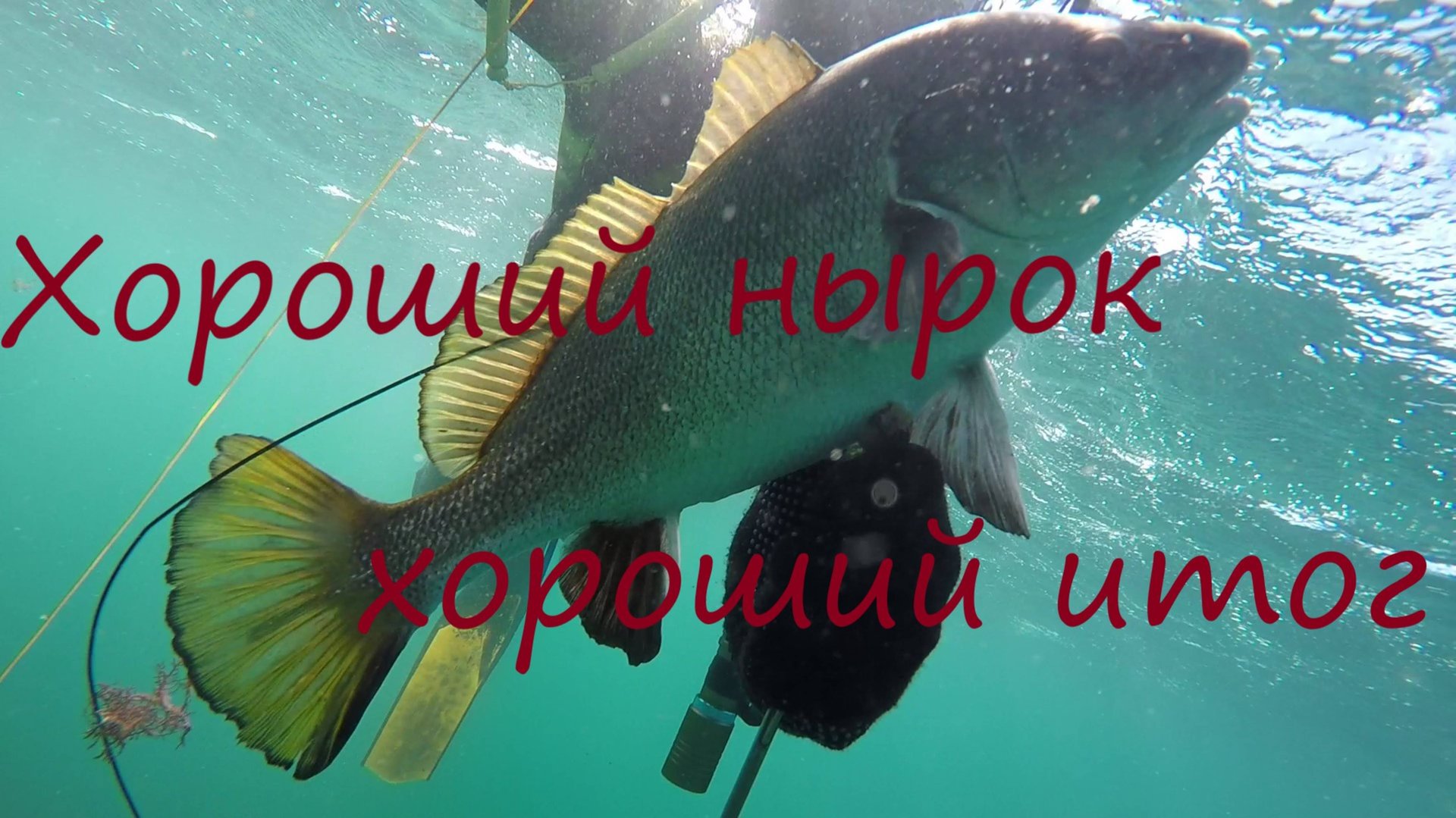 Хороший нырок- хороший итог смотреть онлайн