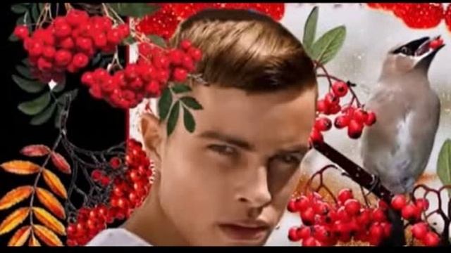 И снова рябина..., стихи Н. Скорикова Багаутдинова, муз. и исп. Самуил Фрумович