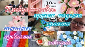 Пробуем новое//синельная проволока//завтрак