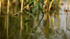 Совсем скоро!..