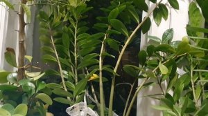 Воспоминания